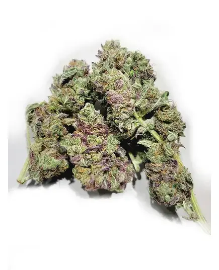 Produkt_Harle Purple CBD Blüten ( 3,5% - 5,5% ) Hahsking Österreich - Austrian Cannabis Cup Winner, Anzahl in Gramm: 5__Cannadusa_Marktplatz_Kaufen