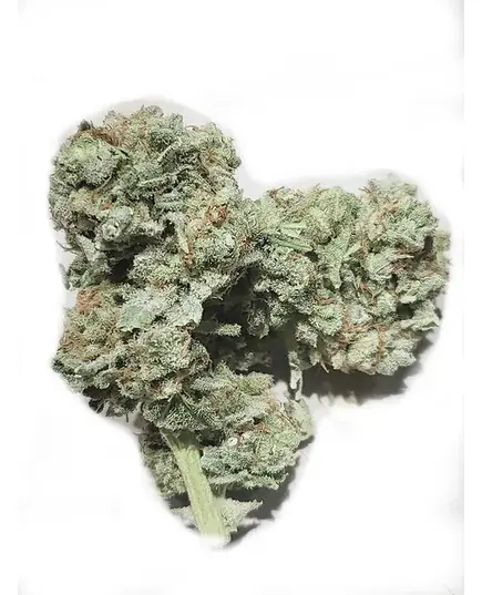 Product_AK Silver® CBD (3,5%-5,5%) vom Hashking aus Österreich, Amount in grams: 3_Cannadusa_Marketplace_Buy