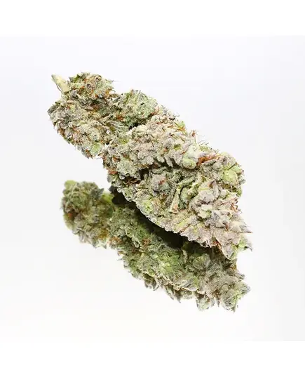 Produkt_Silver Sativa® CBD Blüten (3,5%-5,5%) Hashking Österreich, Anzahl in Gramm: 10__Cannadusa_Marktplatz_Kaufen