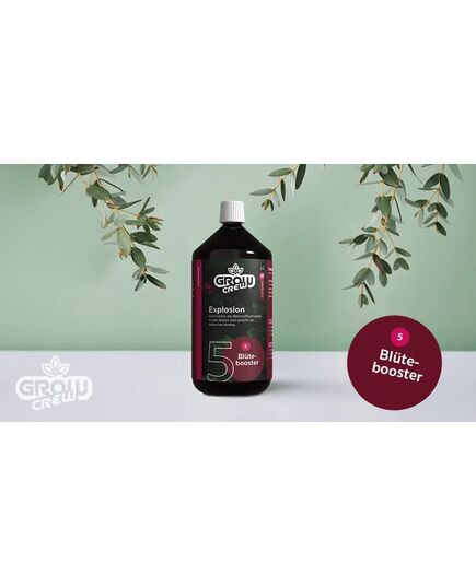 Product_GrowCrew - Explosion (Blütebooster) | 1 Liter_Cannadusa_Marketplace_Buy