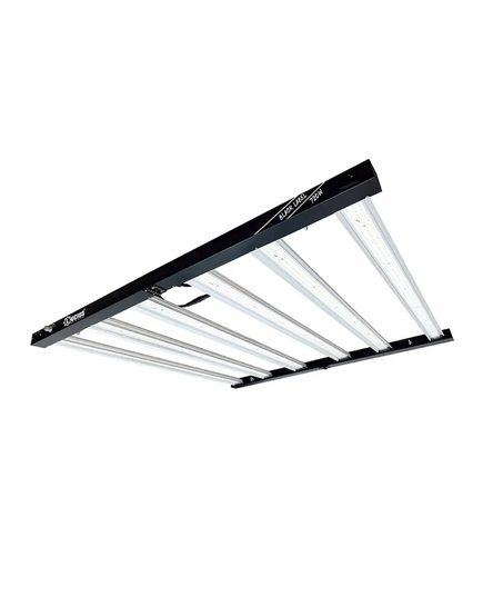 Produkt_LUCIUS LIGHTING - LED PRO 720W 2.6 Black Label_, 6 image_Cannadusa_Marktplatz_Kaufen