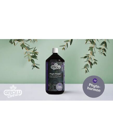 GrowCrew - Phyto Power (Phytohormon) | 1 Liter