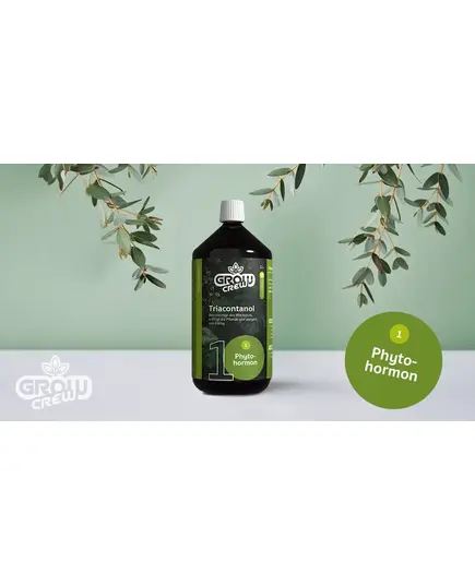 Produkt_GrowCrew - Triacontanol (Phytohormon) | 1 Liter__Cannadusa_Marktplatz_Kaufen