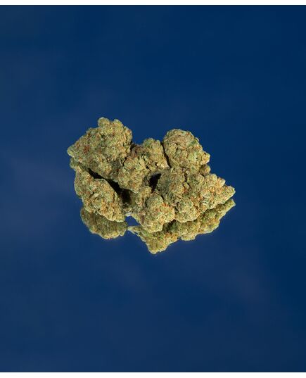 Product_Amnesia Haze CBD Flower, 4 image_Cannadusa_Marketplace_Buy