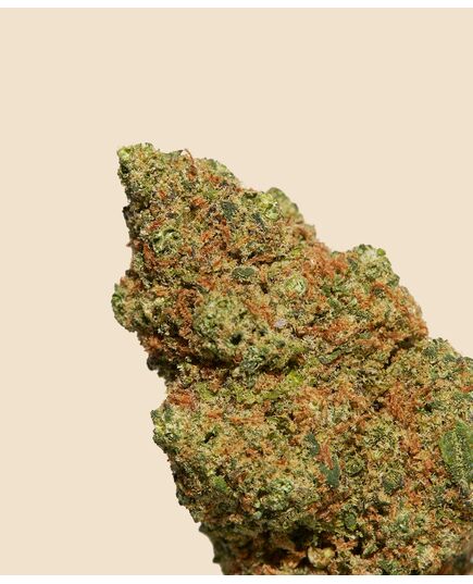 Product_BlueBerry CBD Flower, 2 image_Cannadusa_Marketplace_Buy