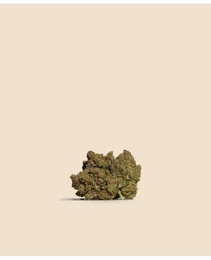 Product_Gorilla Glue Hybrid CBD Flower, 3 image_Cannadusa_Marketplace_Buy