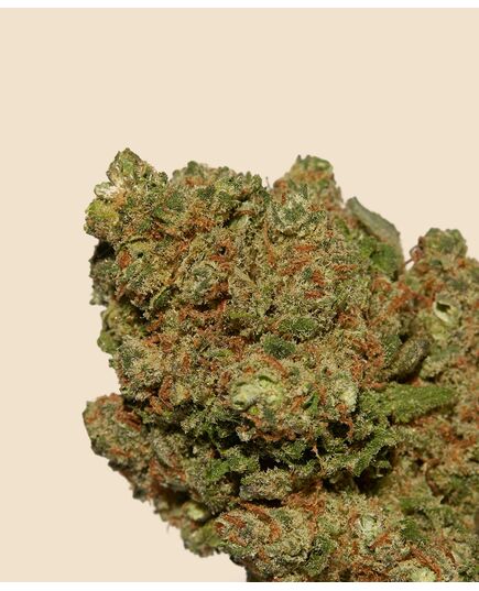 Product_Gorilla Glue Hybrid CBD Flower, 2 image_Cannadusa_Marketplace_Buy