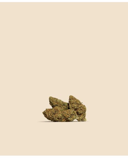 Product_Mimosa CBD Flower, 3 image_Cannadusa_Marketplace_Buy