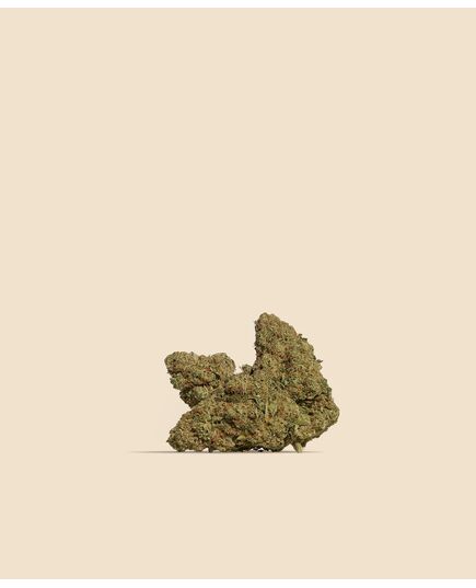 Product_Northern Light CBD Flower, 3 image_Cannadusa_Marketplace_Buy