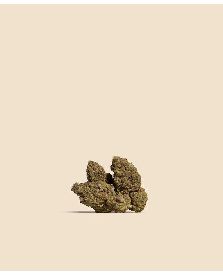 Product_Runtz CBD Flower, 3 image_Cannadusa_Marketplace_Buy