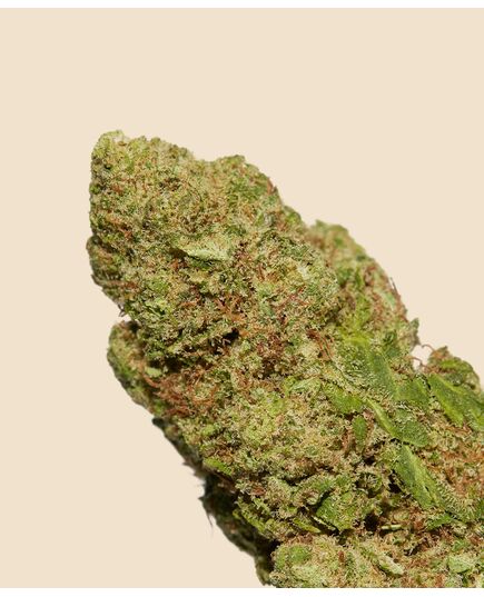 Product_Wedding Cake CBD Flower, 2 image_Cannadusa_Marketplace_Buy