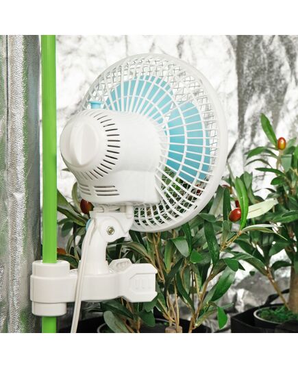 Product_Stangen - Klemmventilator 6 Zoll, 20 Watt_Cannadusa_Marketplace_Buy