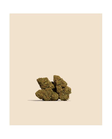 Product_Mango CBD Flower, 3 image_Cannadusa_Marketplace_Buy