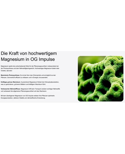 Produkt_OG Nutrition Cannabis Dünger Starterkit_, 11 image_Cannadusa_Marktplatz_Kaufen