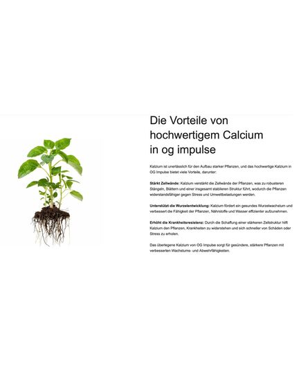 Produkt_OG Nutrition Cannabis Dünger Starterkit_, 9 image_Cannadusa_Marktplatz_Kaufen