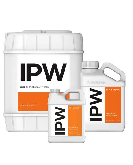 Produkt_Athena Ipw__Cannadusa_Marktplatz_Kaufen