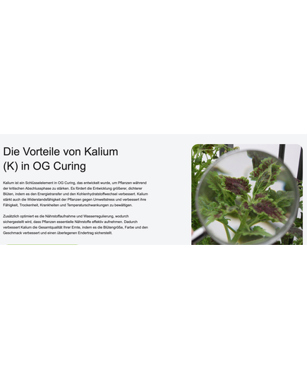 Produkt_OG Nutrition Cannabis Dünger Starterkit_, 15 image_Cannadusa_Marktplatz_Kaufen