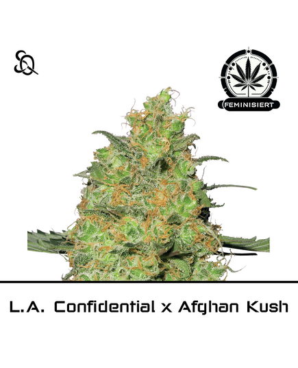 Produkt_L.A. Confidential x Afghan Kush__Cannadusa_Marktplatz_Kaufen