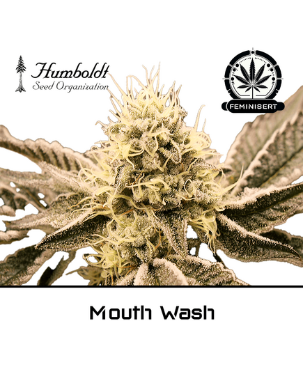 Product_Mouth Wash - Humboldt Seeds_Cannadusa_Marketplace_Buy