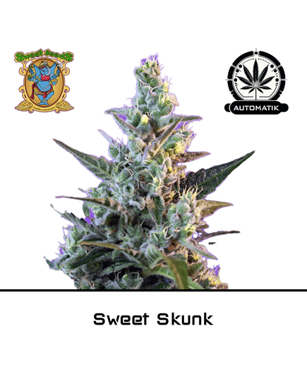 Produkt_Auto Sweet Skunk - Sweet Seeds__Cannadusa_Marktplatz_Kaufen