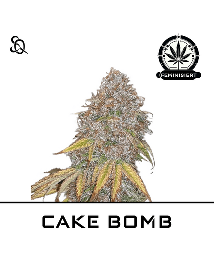 Produkt_CAKE BOMB__Cannadusa_Marktplatz_Kaufen