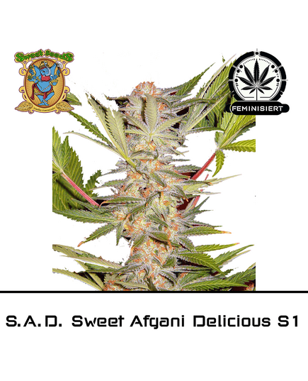 Product_SAD S1 Sweet Afghani Delicious - Sweet Seeds_Cannadusa_Marketplace_Buy