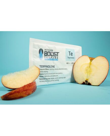 Produkt_Integra Boost Terpene Terpinolene 62% 67g__Cannadusa_Marktplatz_Kaufen