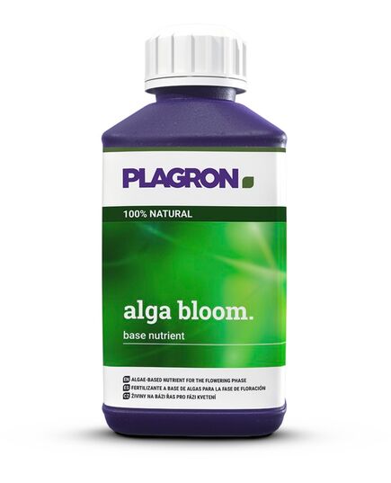 Produkt_Plagron Alga Bloom 250ml__Cannadusa_Marktplatz_Kaufen