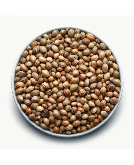 Produkt_Cookie Runtz Fem Saatgut, Seeds__Cannadusa_Marktplatz_Kaufen