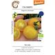 Product_Cocktailtomate Dorada_Cannadusa_Marketplace_Buy