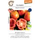 Product_Fülltomate Striped Cavern_Cannadusa_Marketplace_Buy