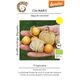Product_Großfrüchtige Physalis Tropicana_Cannadusa_Marketplace_Buy