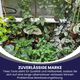 Professional electric watering system for gardens, patios, and greenhouses with secure installation accessories.