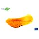 Product_ADDIPURE PEO 35*35 extractor (non-height-adjust.). Made of food-grade aluminium with an anodised finish. 3-layer filter system. Batch quantity up to 15g., 12 image_Cannadusa_Marketplace_Buy
