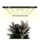Produkt_LUCIUS LIGHTING - LED PRO 720W 2.6 Black Label_, 2 image_Cannadusa_Marktplatz_Kaufen