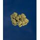 Product_Amnesia Haze CBD Flower, 4 image_Cannadusa_Marketplace_Buy