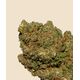 Product_Gorilla Glue Hybrid CBD Flower, 2 image_Cannadusa_Marketplace_Buy