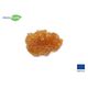 Product_ADDIPURE PEO 60*50 StarterKit contains everything you need to get started with efficient plant extraction. Batch quantity: up to 20 g. Extraction agent: DME/n-Butane 500 ml cans. Made in the EU., Extraction agent: ADDIPURE DME/n-Butane, 16 image_Cannadusa_Marketplace_Buy