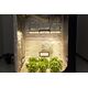 320W LED Growlicht, Vollspektrum Pflanzenlampe, Growlampe mit Samsung & Osram LEDs, Indoor-Grow Beleuchtung, LED Pflanzenbeleuchtung, Licht für Wachstum & Blüte, Hochleistungs-Growlampe, Smart-Control LED Lampe, Pflanzenbeleuchtung 60x120 cm