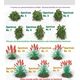 600W LED Growlicht, Vollspektrum LED, LED Pflanzenlampe, Indoor-Grow Licht, Pflanzenbeleuchtung, Growlampe mit Dimmung, High-End LED Growlampe, Licht für Pflanzenwachstum, Beleuchtung für Blüte und Wachstum, Lichtsteuerung für Pflanzen.