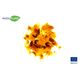 Produkt_ADDIPURE Extraktor PEO 60*50, nicht höhenverstellbar, lebensmittel echtes Aluminium, farblos eloxiert. Füllmenge bis zu 20g._, 13 image_Cannadusa_Marktplatz_Kaufen