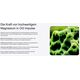 Product_The New High-End Fertilizer on the Market - OG Nutrition!, 11 image_Cannadusa_Marketplace_Buy