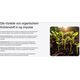 Product_The New High-End Fertilizer on the Market - OG Nutrition!, 7 image_Cannadusa_Marketplace_Buy