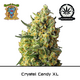 Produkt_Auto Crystal Candy XL – Sweet Seeds__Cannadusa_Marktplatz_Kaufen