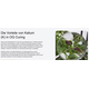 Product_The New High-End Fertilizer on the Market - OG Nutrition!, 15 image_Cannadusa_Marketplace_Buy