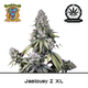 Produkt_Auto Jealousy Z XL – Sweet Seeds__Cannadusa_Marktplatz_Kaufen