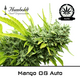 Product_Mango OG Auto - Humboldt Seeds_Cannadusa_Marketplace_Buy