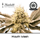Produkt_Mouth Wash - Humboldt Seeds__Cannadusa_Marktplatz_Kaufen