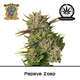 Produkt_Auto Papaya Zoap - Sweet Seeds__Cannadusa_Marktplatz_Kaufen