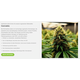 Product_The New High-End Fertilizer on the Market - OG Nutrition!, 2 image_Cannadusa_Marketplace_Buy